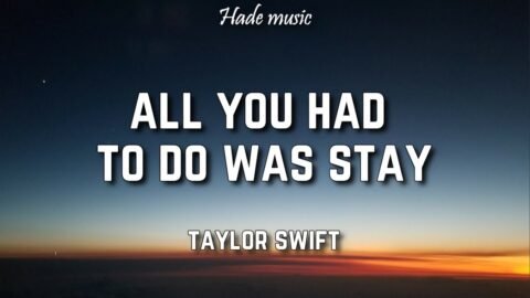 Taylor Swift - All You Had To Do Was Stay