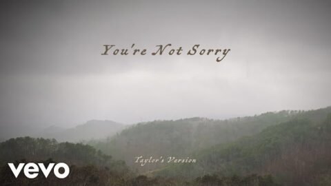 Taylor Swift - You're Not Sorry